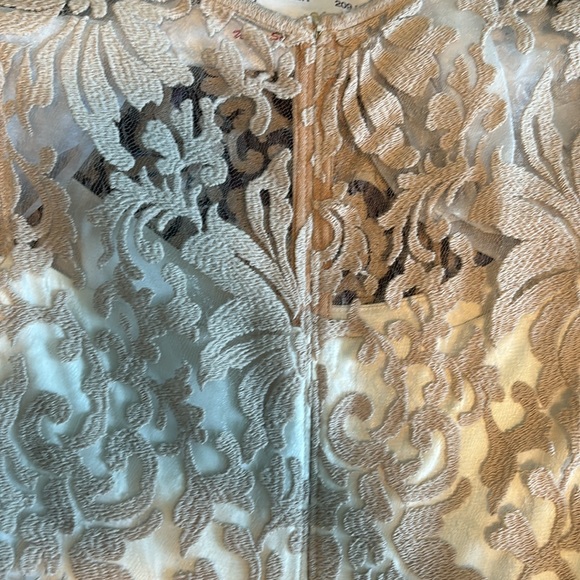 Tadashi Shoji dress women’s taupe lace over ivory - Picture 3 of 4